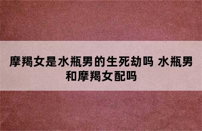 摩羯女是水瓶男的生死劫吗 水瓶男和摩羯女配吗